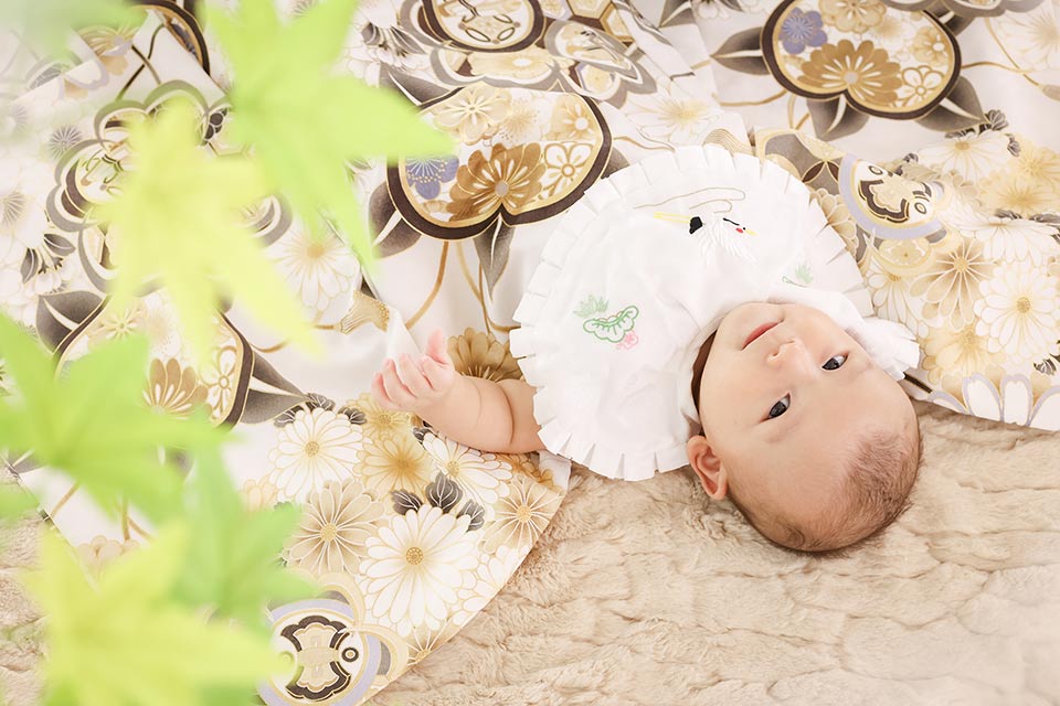 お宮参りフォトTOP