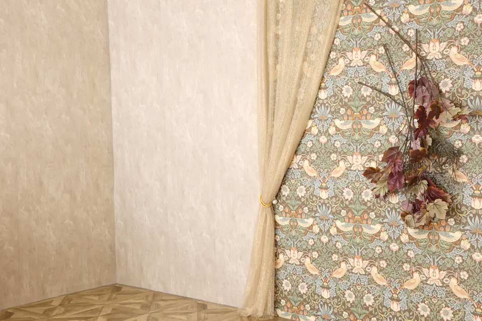 イオンモール伊丹昆陽店スタジオ背景7